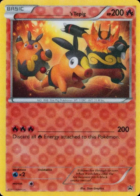 _____'s Tepig