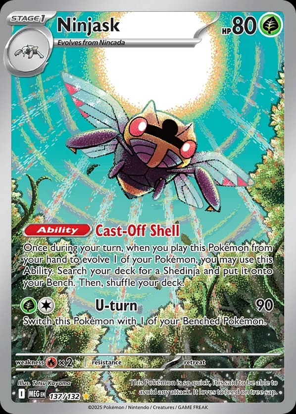 Ninjask
