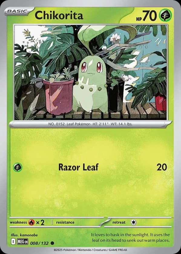 Chikorita