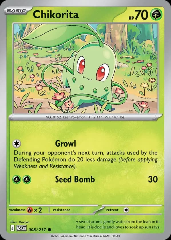 Chikorita