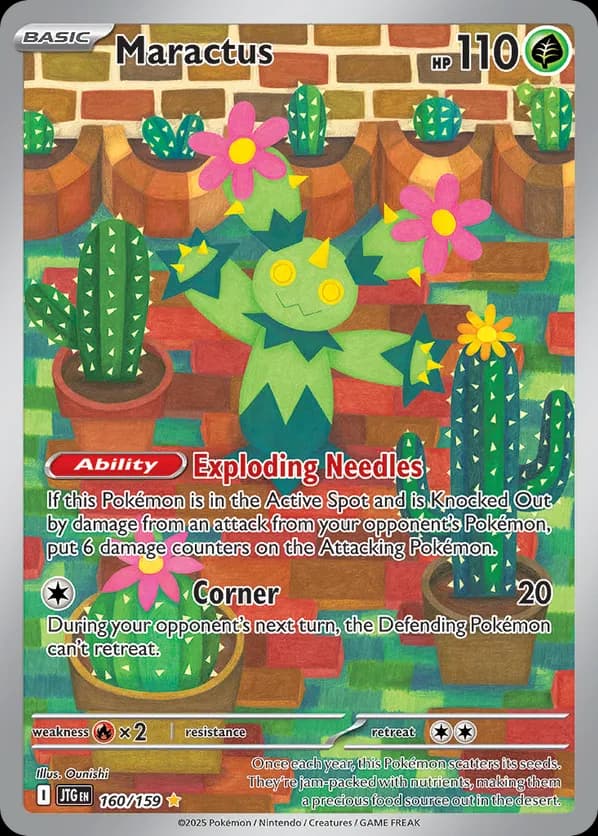 Maractus