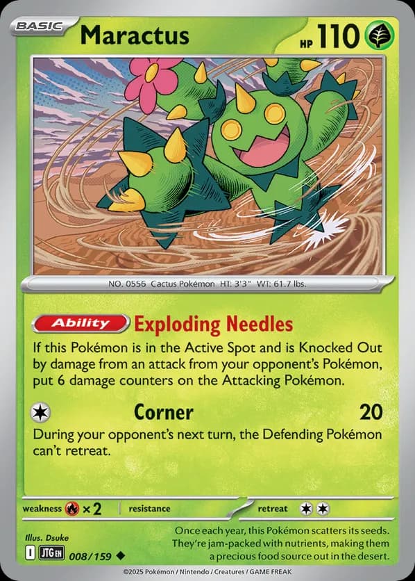 Maractus
