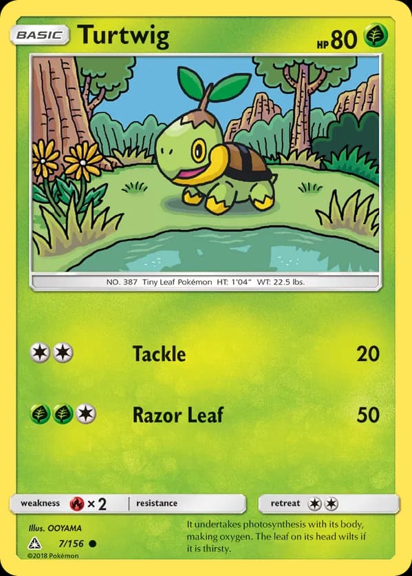Turtwig